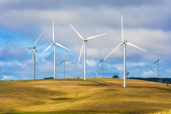 Energy & Renewables